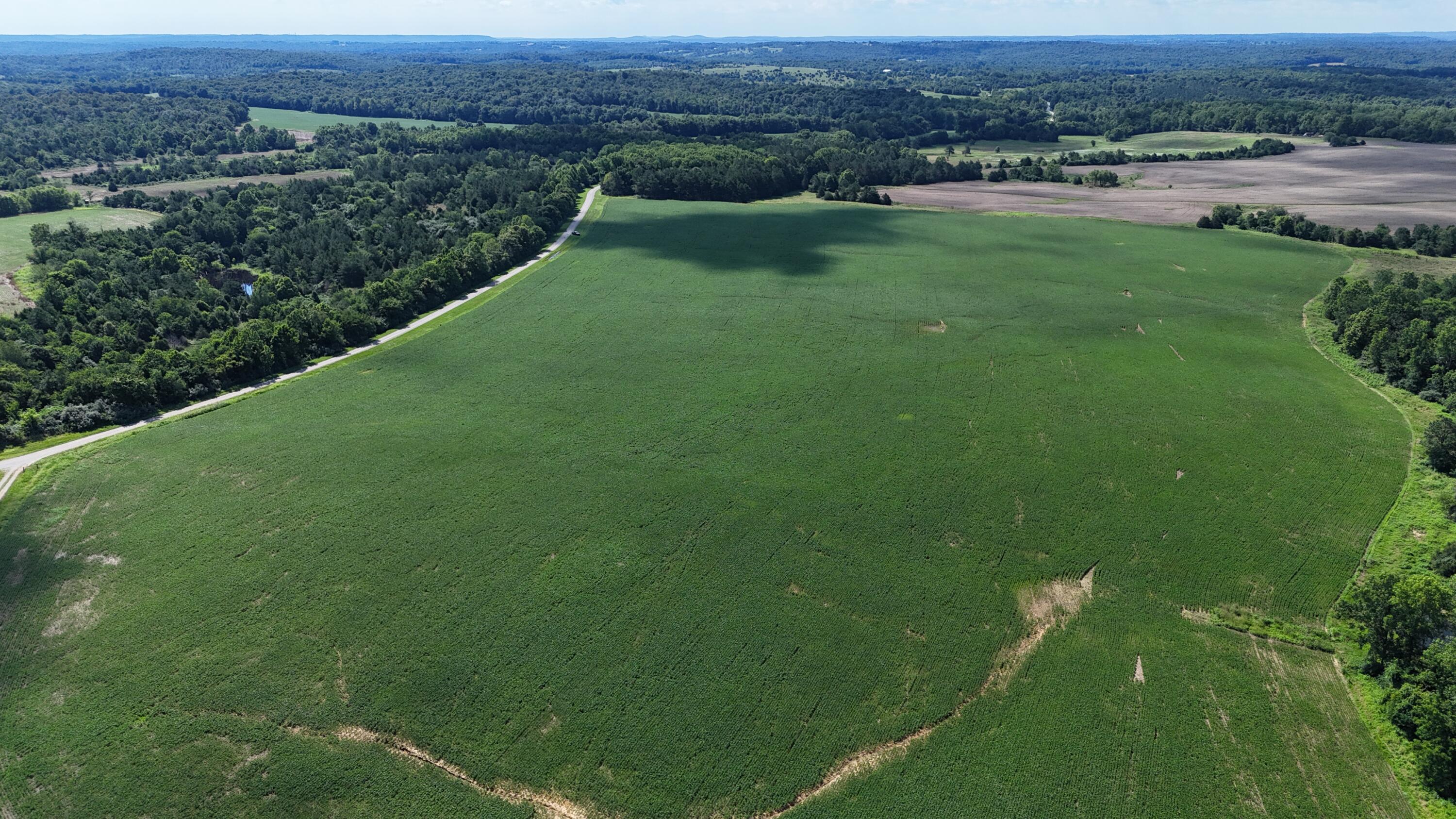 0 North Campbell Cemetery Road Crofton, KY 42217 - Photo 1 of 31 dji_fly_20260616_101146_0359_17816377709