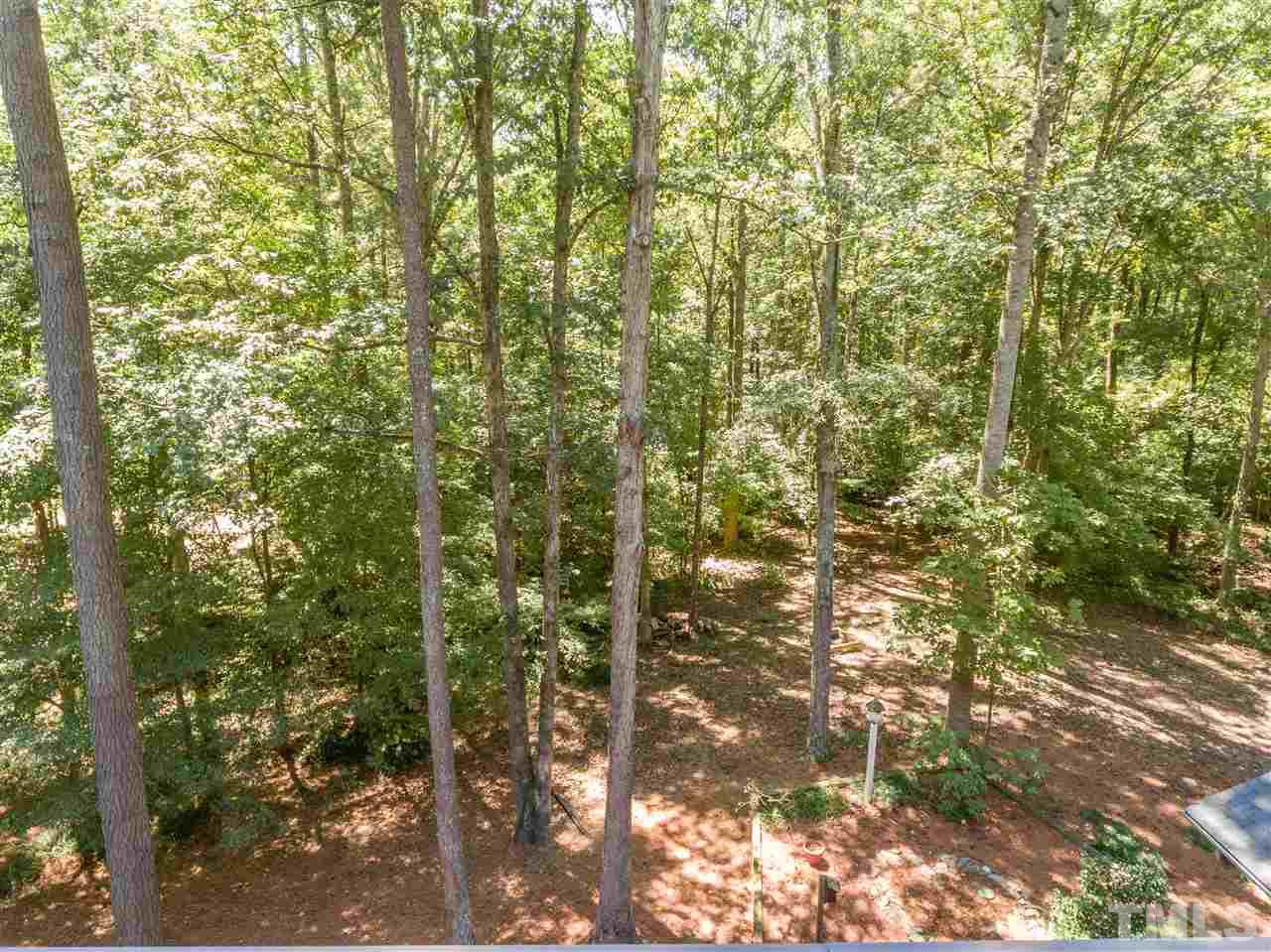 5000 Birchleaf Drive Raleigh, NC 27606 - Photo 24 of 25 Gallery Image 24