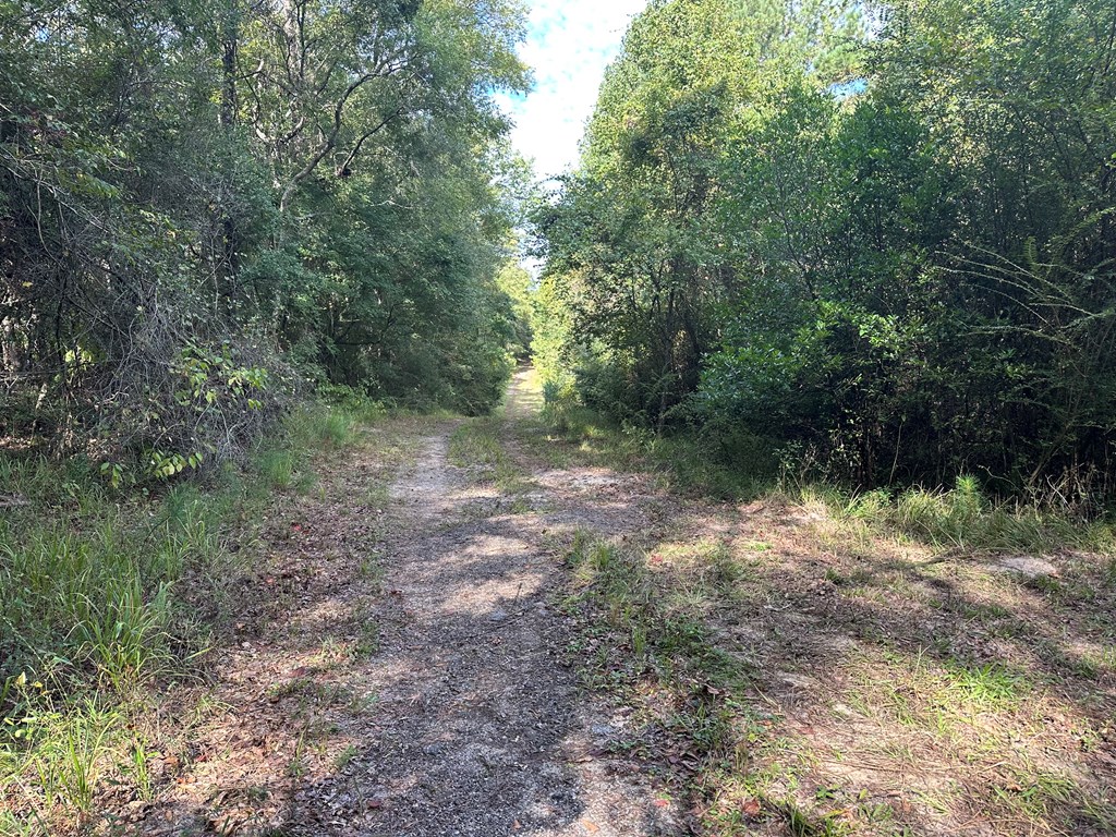 Undisclosed Address Ozark, AL 36360 - Photo 4 of 4