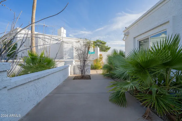 a view of a potted plants on a patio