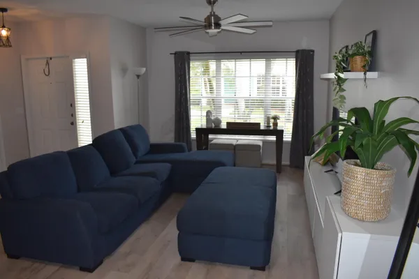 a living room with furniture and a potted plant