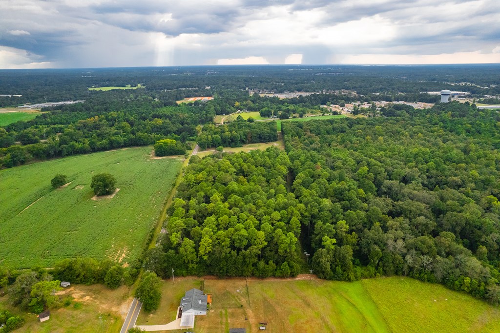 0 East Wayne Road Dothan, AL 36301 - Photo 7 of 18