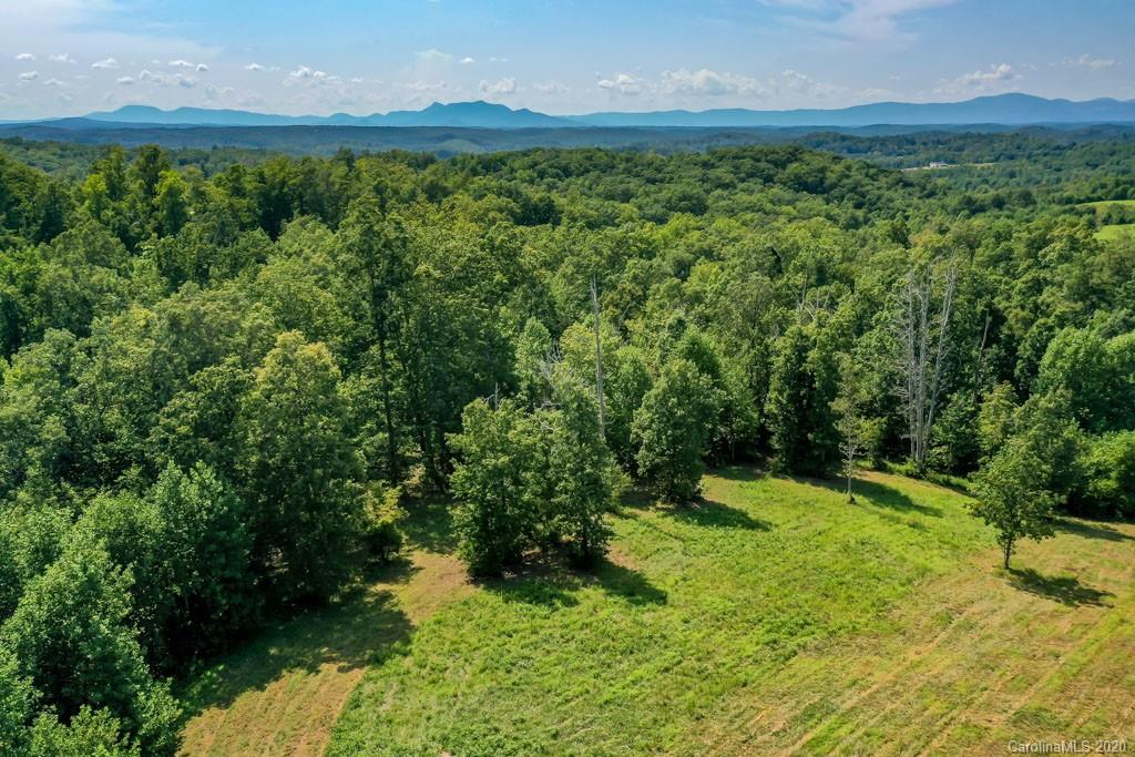 0 Baber Road Rutherfordton, NC 28139 - Photo 3 of 15