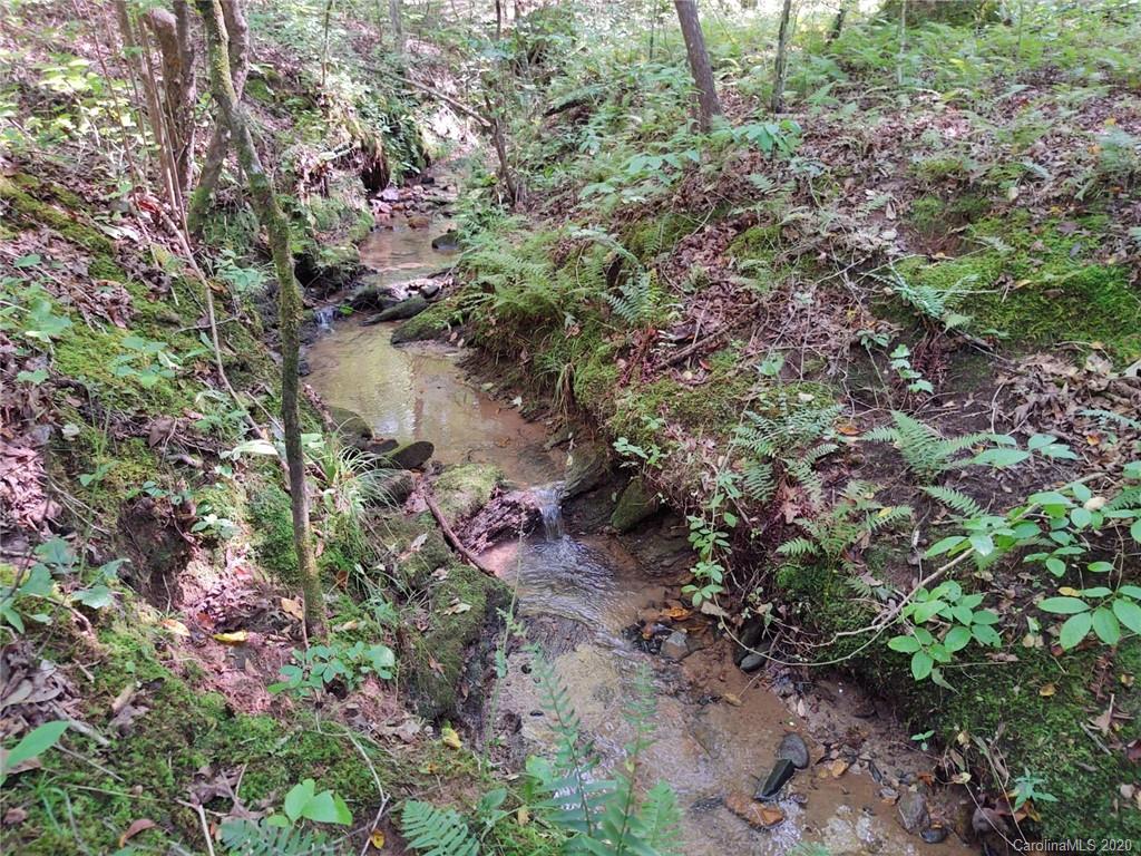 0 Baber Road Rutherfordton, NC 28139 - Photo 4 of 15