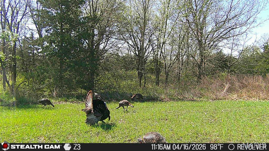 153-ac Aspen Road Humphreys, MO 64646 - Photo 54 of 56