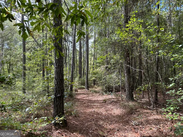 $449,000 | 16-014 Pedenville/flatshoals/knott Roads, Concord, GA 30206