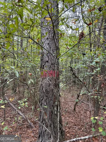 $449,000 | 16-014 Pedenville/flatshoals/knott Roads, Concord, GA 30206