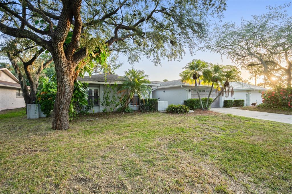4369 Marine Parkway New Port Richey, FL 34652 - Photo 28 of 28