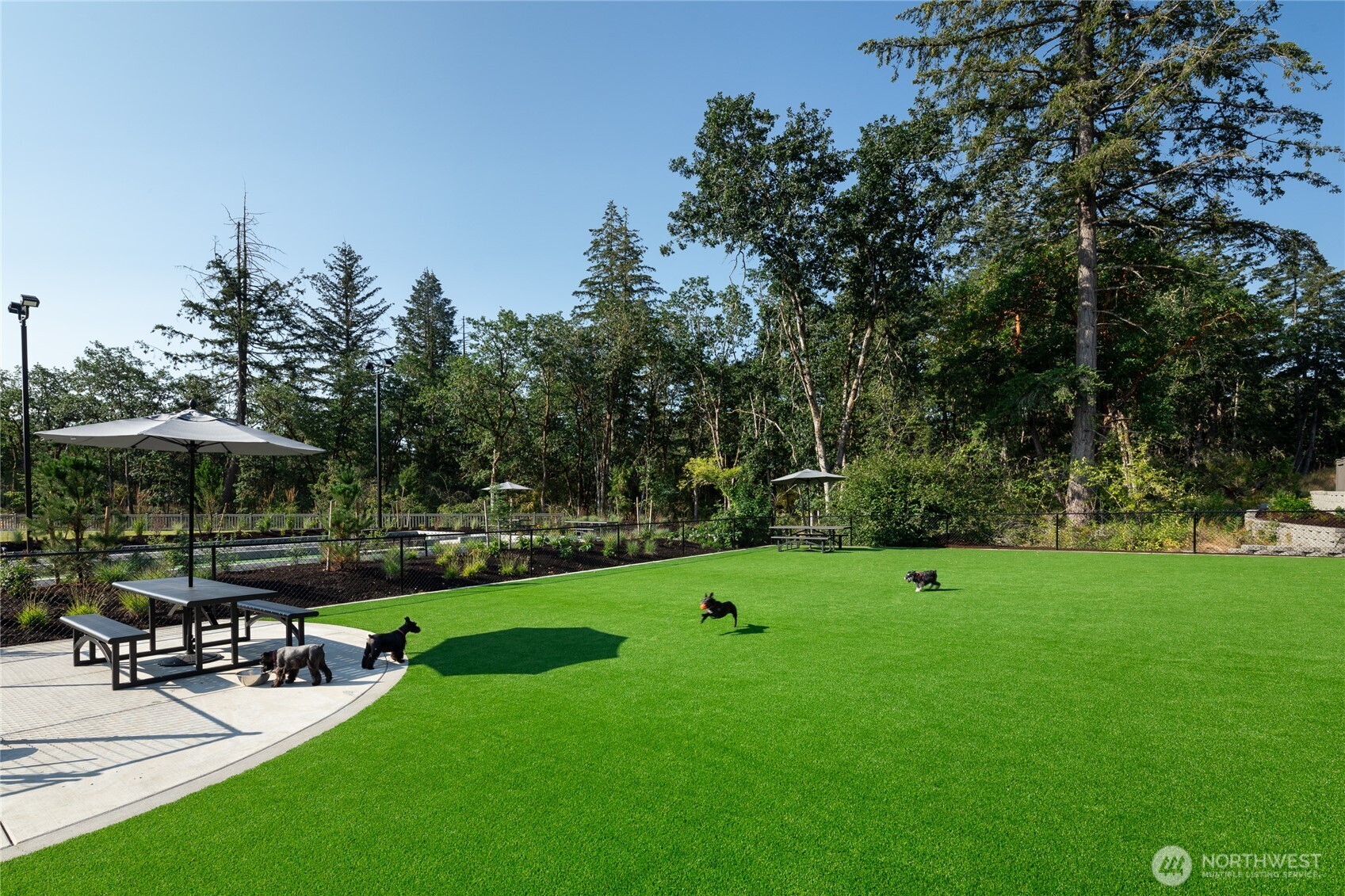 2926 Balsamroot Drive Southeast Lacey, WA 98513 - Photo 19 of 29