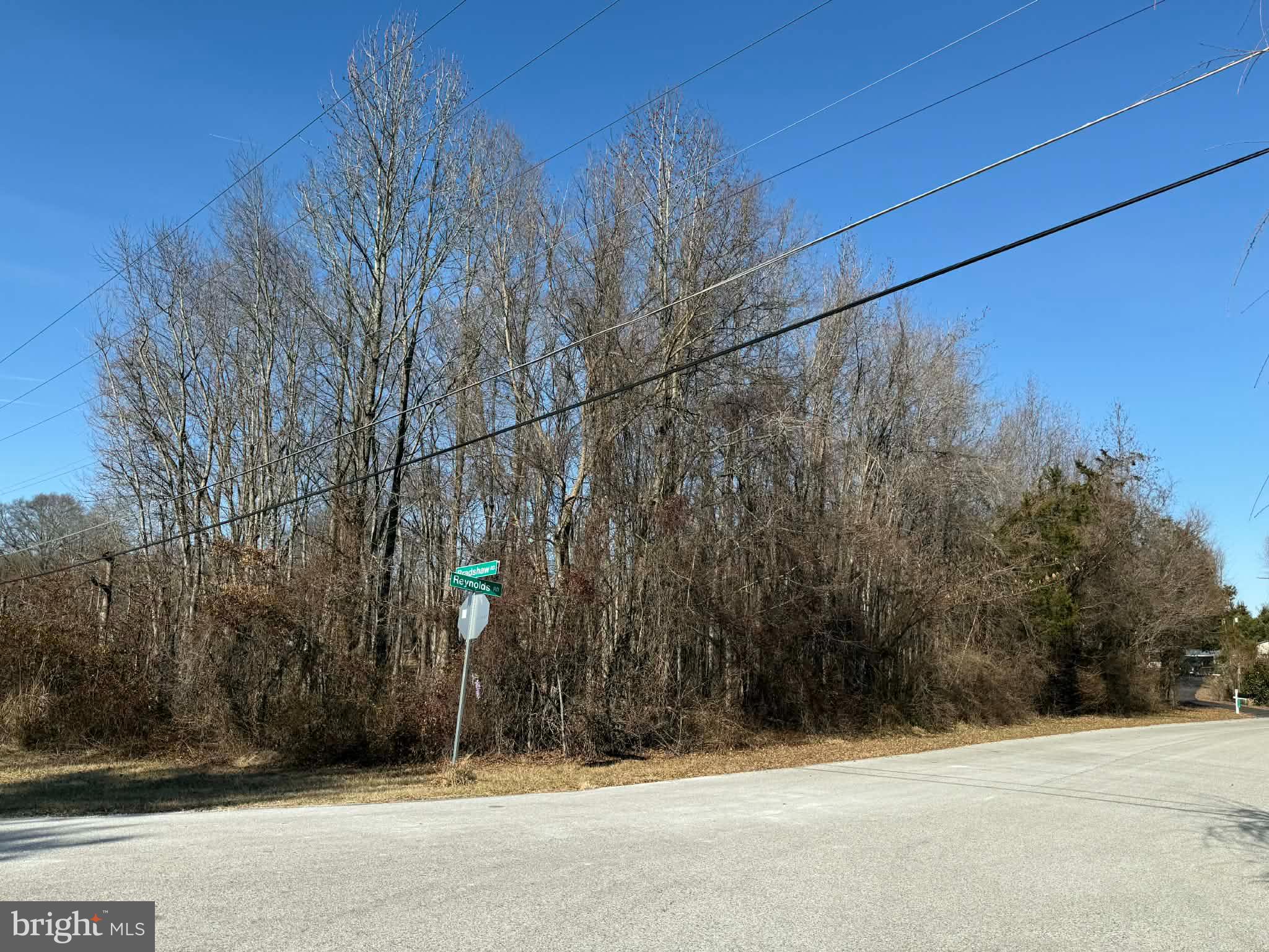 11104 Reynolds Road Kingsville, MD 21087 - Photo 2 of 6 Quiet corner with towering trees.