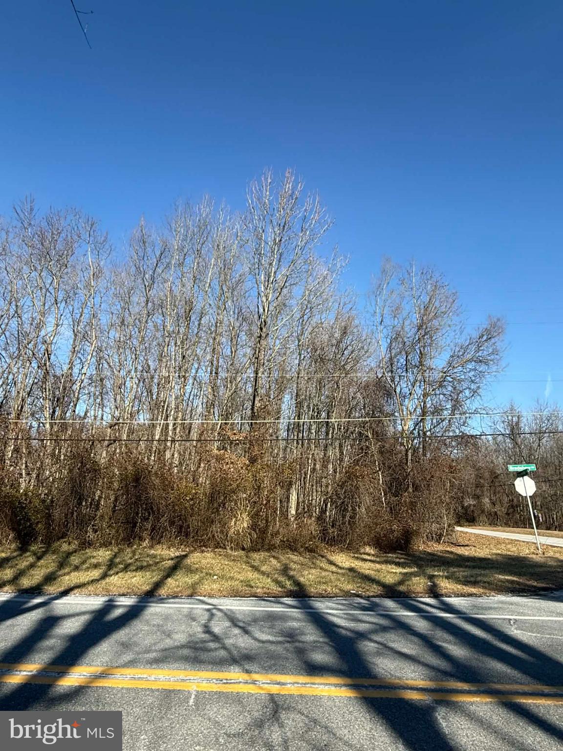 11104 Reynolds Road Kingsville, MD 21087 - Photo 3 of 6 Serene landscape under a clear blue sky.