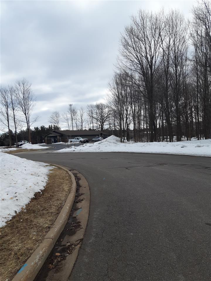 0 Amir Drive, Unit AMIR DRIVE Rothschild, WI 54474 - Photo 3 of 4