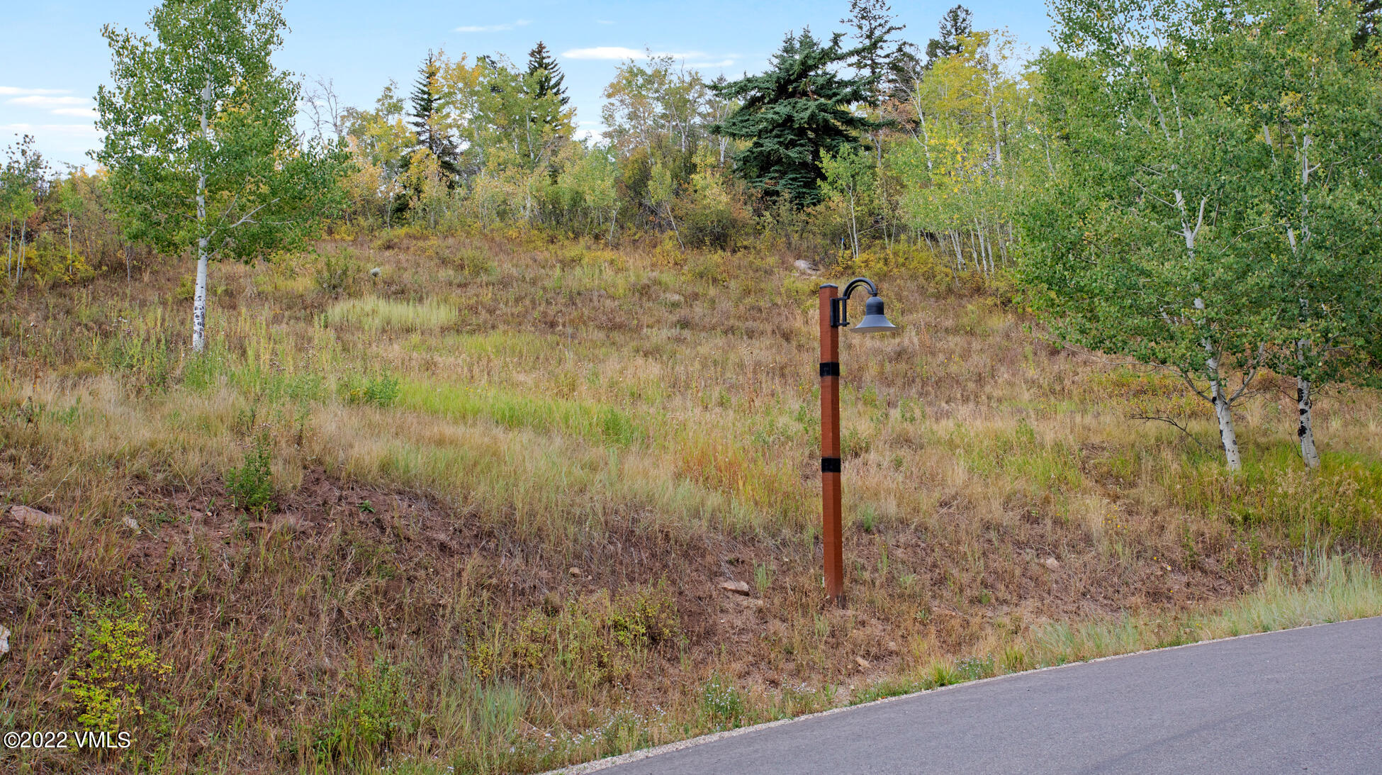 a view of a pathway of a yard