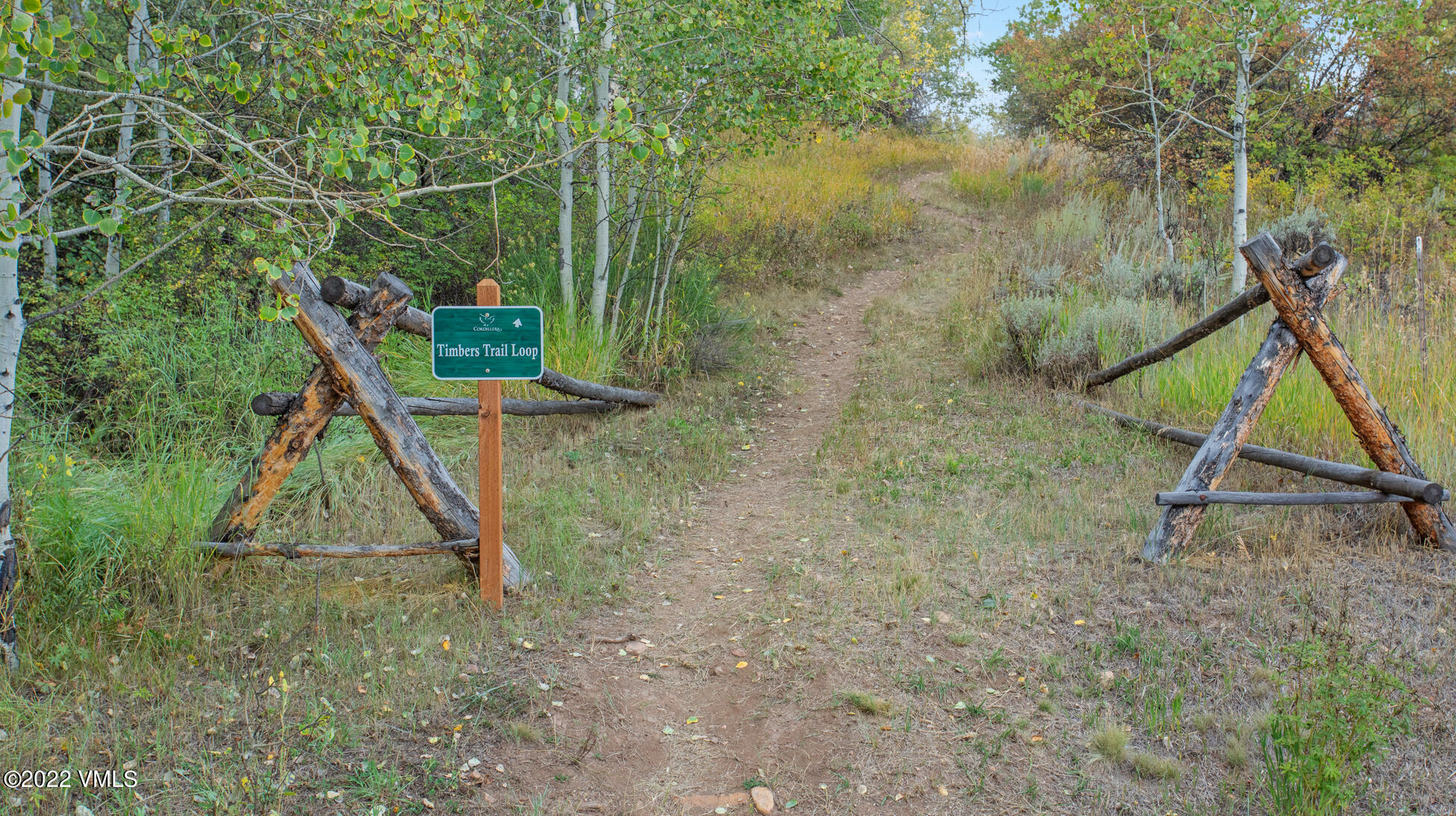 858 Red Draw Edwards, CO 81632 - Photo 16 of 26 a view of outdoor space with a slide and swing