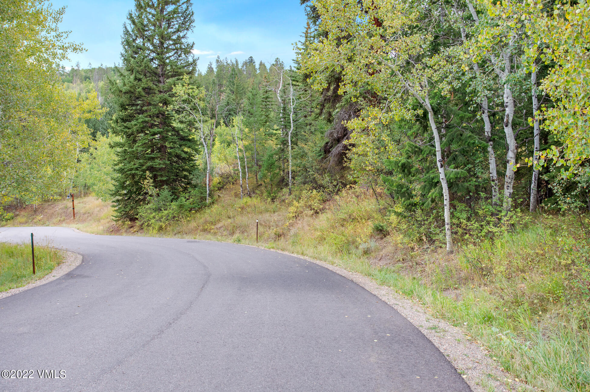 858 Red Draw Edwards, CO 81632 - Photo 17 of 26 a view of a yard with a trees