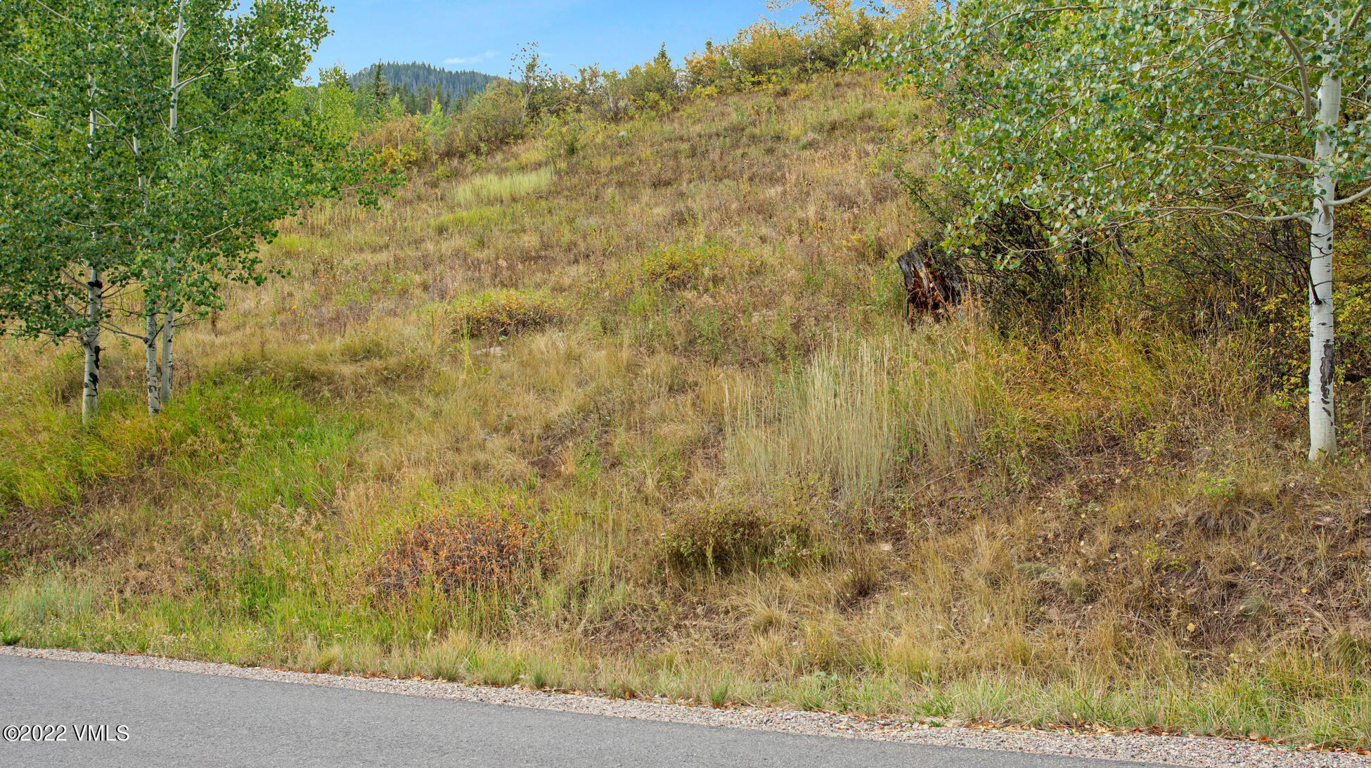 858 Red Draw Edwards, CO 81632 - Photo 19 of 26 a view of a yard