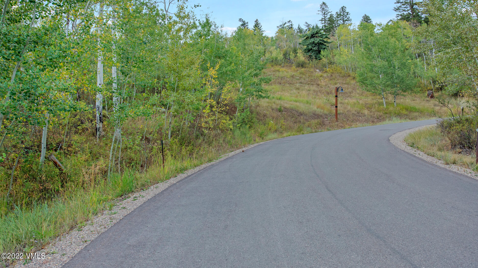 858 Red Draw Edwards, CO 81632 - Photo 20 of 26 a view of a field with a tree