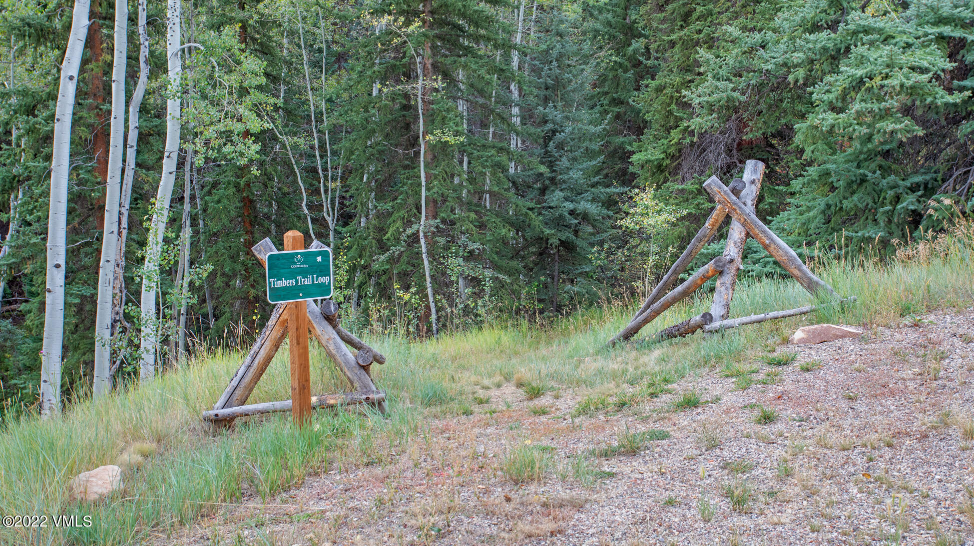 858 Red Draw Edwards, CO 81632 - Photo 21 of 26 a view of outdoor space with green field and entertaining space