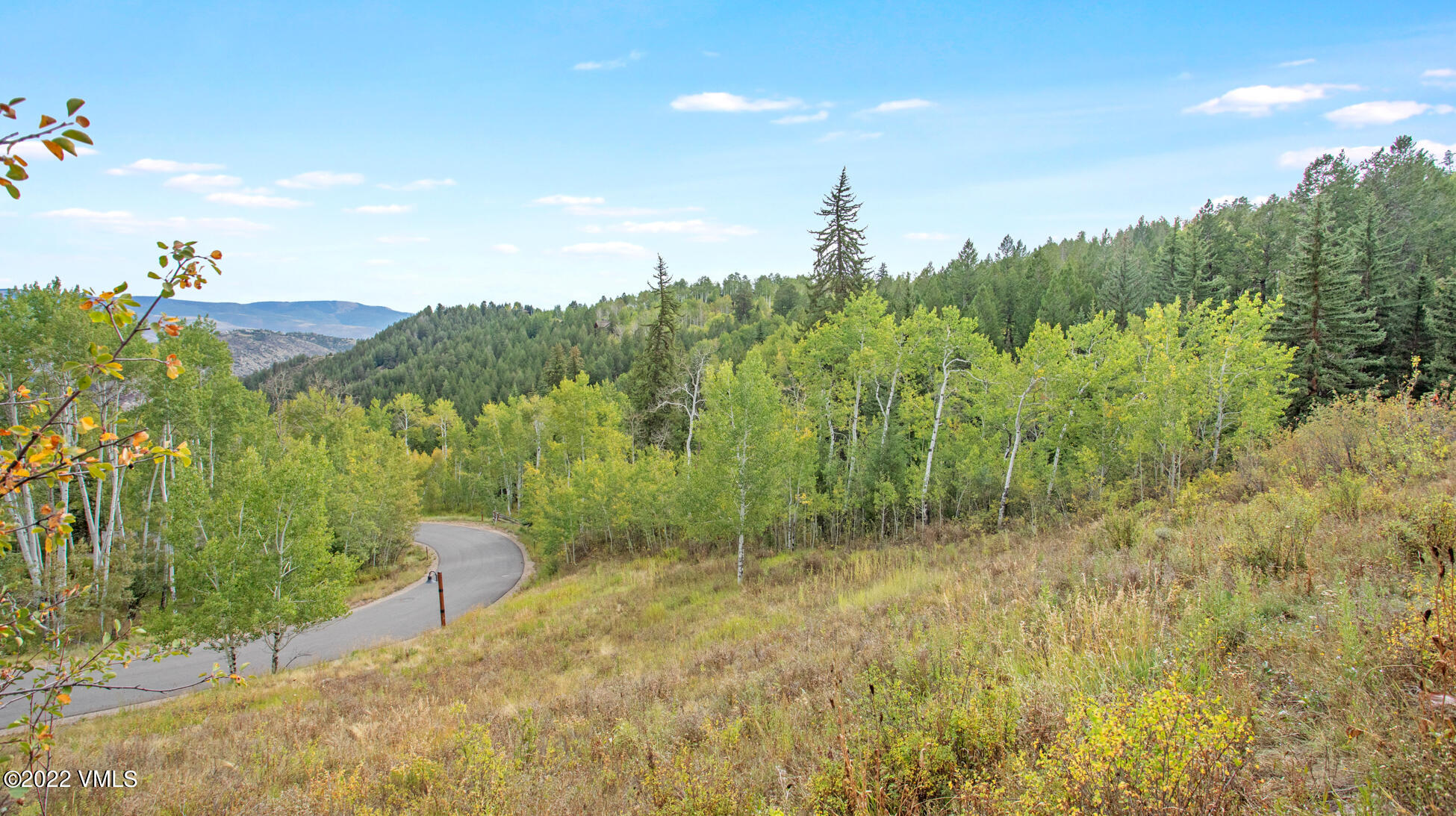 858 Red Draw Edwards, CO 81632 - Photo 24 of 26 a view of a big yard with potted plants