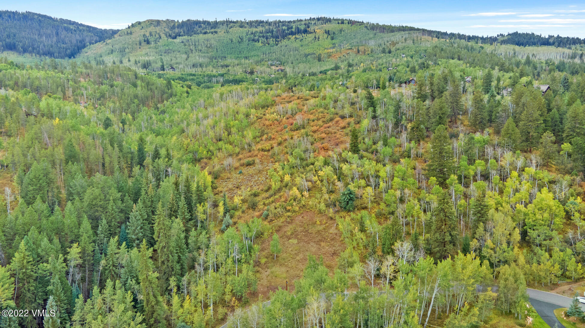 858 Red Draw Edwards, CO 81632 - Photo 3 of 26 a view of a lush green forest with trees and some houses