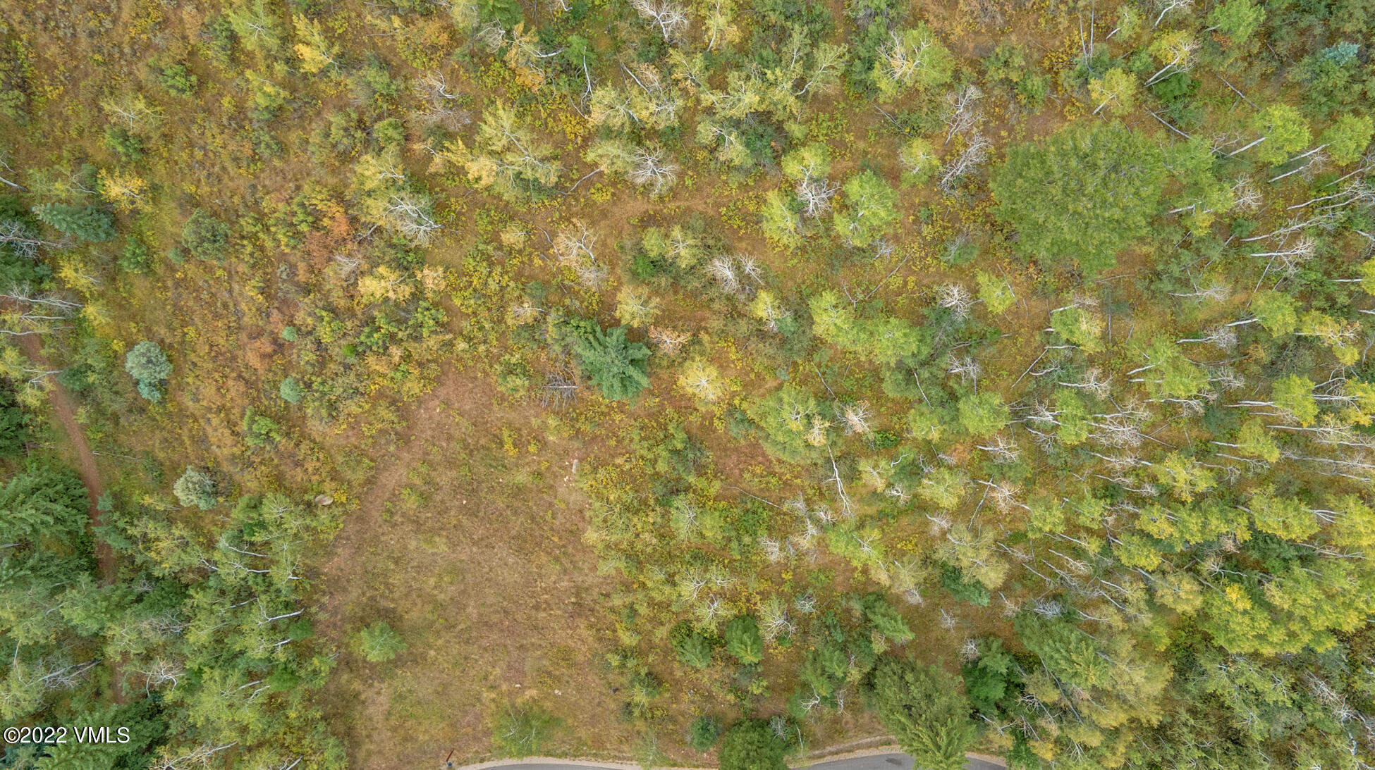 858 Red Draw Edwards, CO 81632 - Photo 9 of 26 a view of a yard