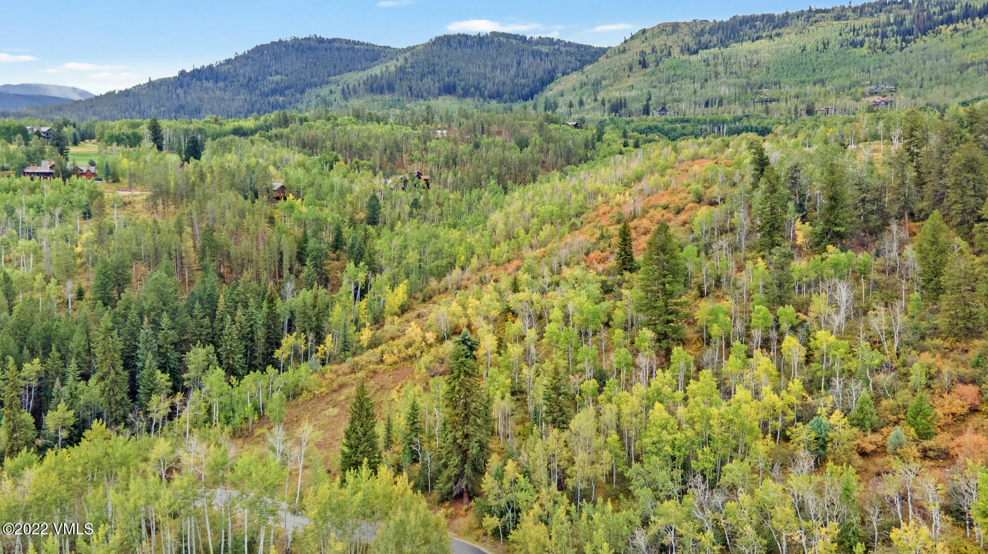858 Red Draw Edwards, CO 81632 - Photo 10 of 26 a view of a lush green forest with trees and some houses