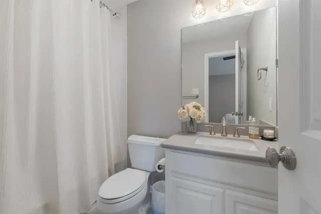 a bathroom with a sink a toilet a mirror and shower curtain