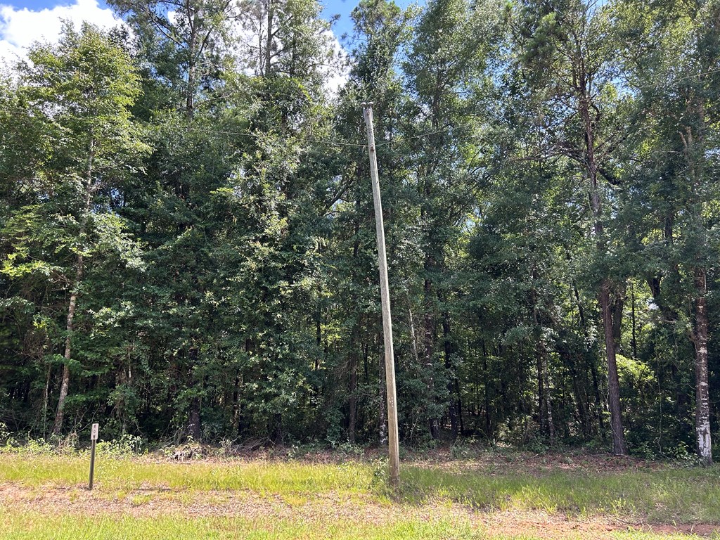 19.16-ac 19.16-ac Ramer Loop Cottonwood, AL 36320 - Photo 11 of 34