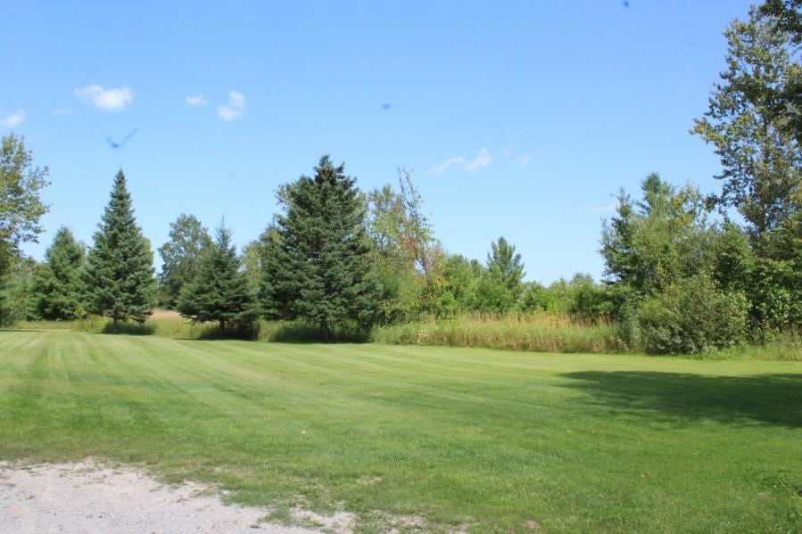 11112 Bushey Road Alpena, MI 49707 - Photo 61 of 70 Gallery Image 61