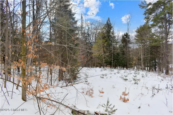 $69,750 | L86 Highview Lane, Unit LOT 2, North Creek, NY 12853