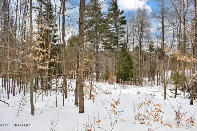 $69,750 | L86 Highview Lane, Unit LOT 2, North Creek, NY 12853