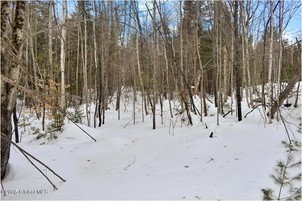 $69,750 | L86 Highview Lane, Unit LOT 2, North Creek, NY 12853