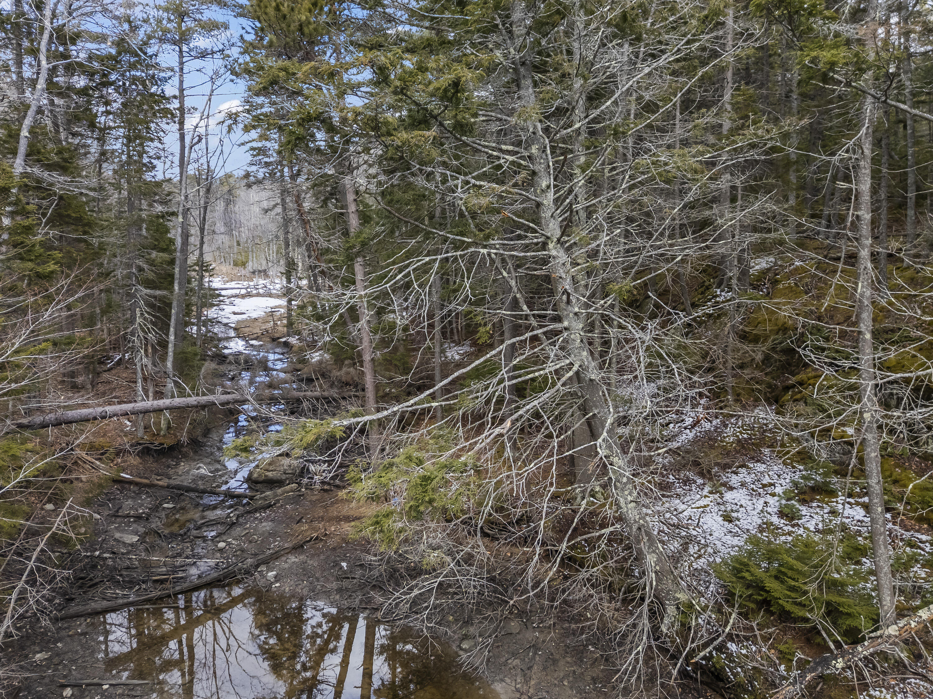Lot 18 Pasture Road Phippsburg, ME 04562 - Photo 41 of 47 Lot 18 Pasture Rd_140