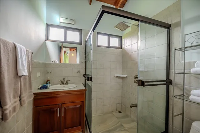 a bathroom with a sink a mirror and a shower