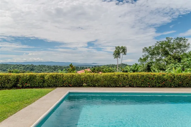 a view of a yard with plants