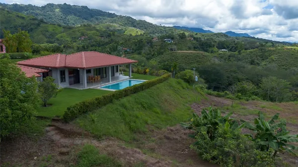 a view of a yard with plants and a brick wall