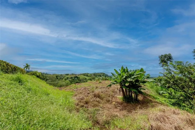 $430,000 | Casa Jean Casa Jean Window Of The Soul, Summit Argo, OS 60501