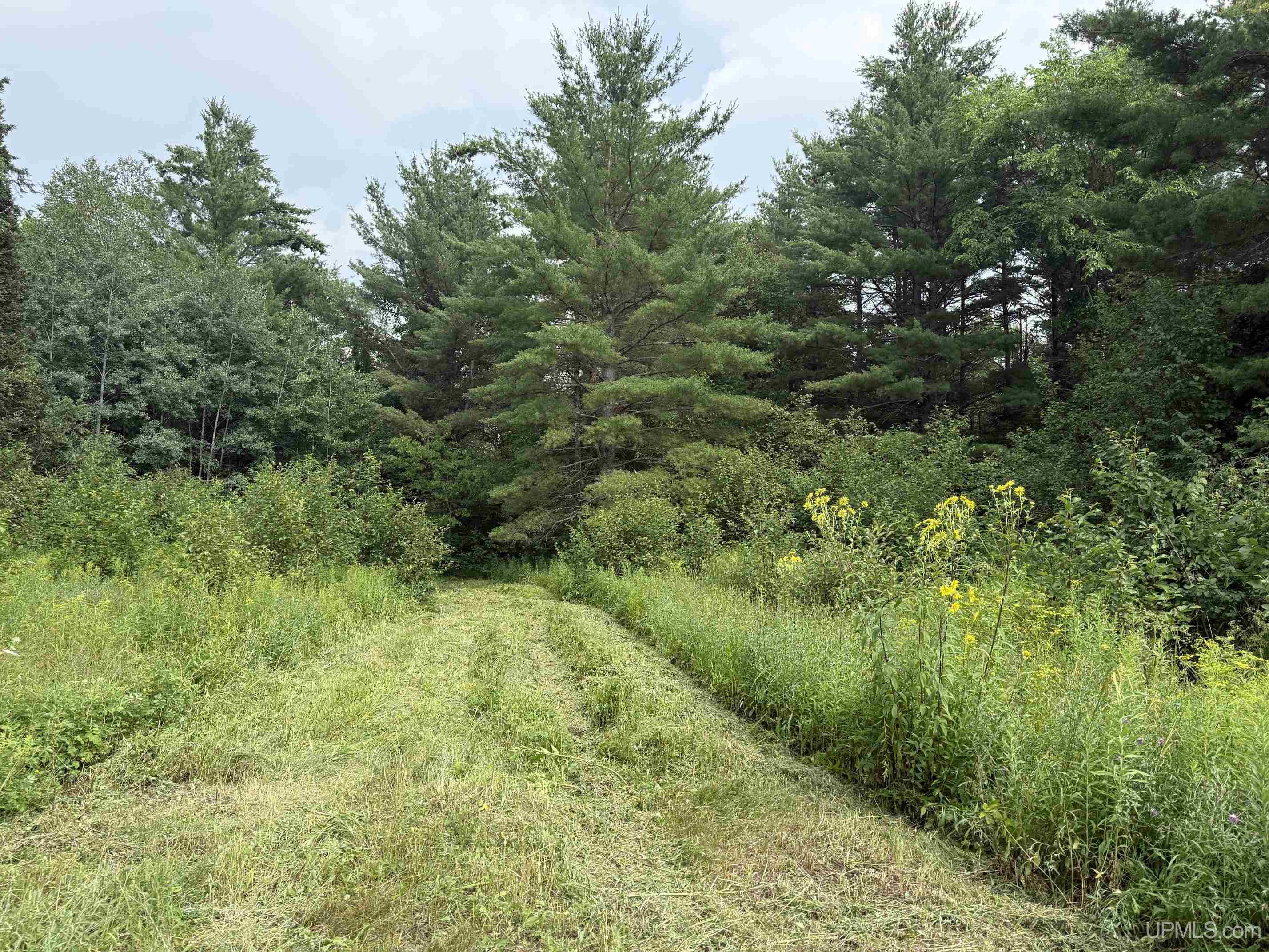 Tbd95 East Branch Road Mass City, MI 49948 - Photo 6 of 27 Gallery Image 6