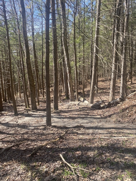 Lot 23-25 Hawk Hill Road Shelburne Falls, MA 01370 - Photo 8 of 8