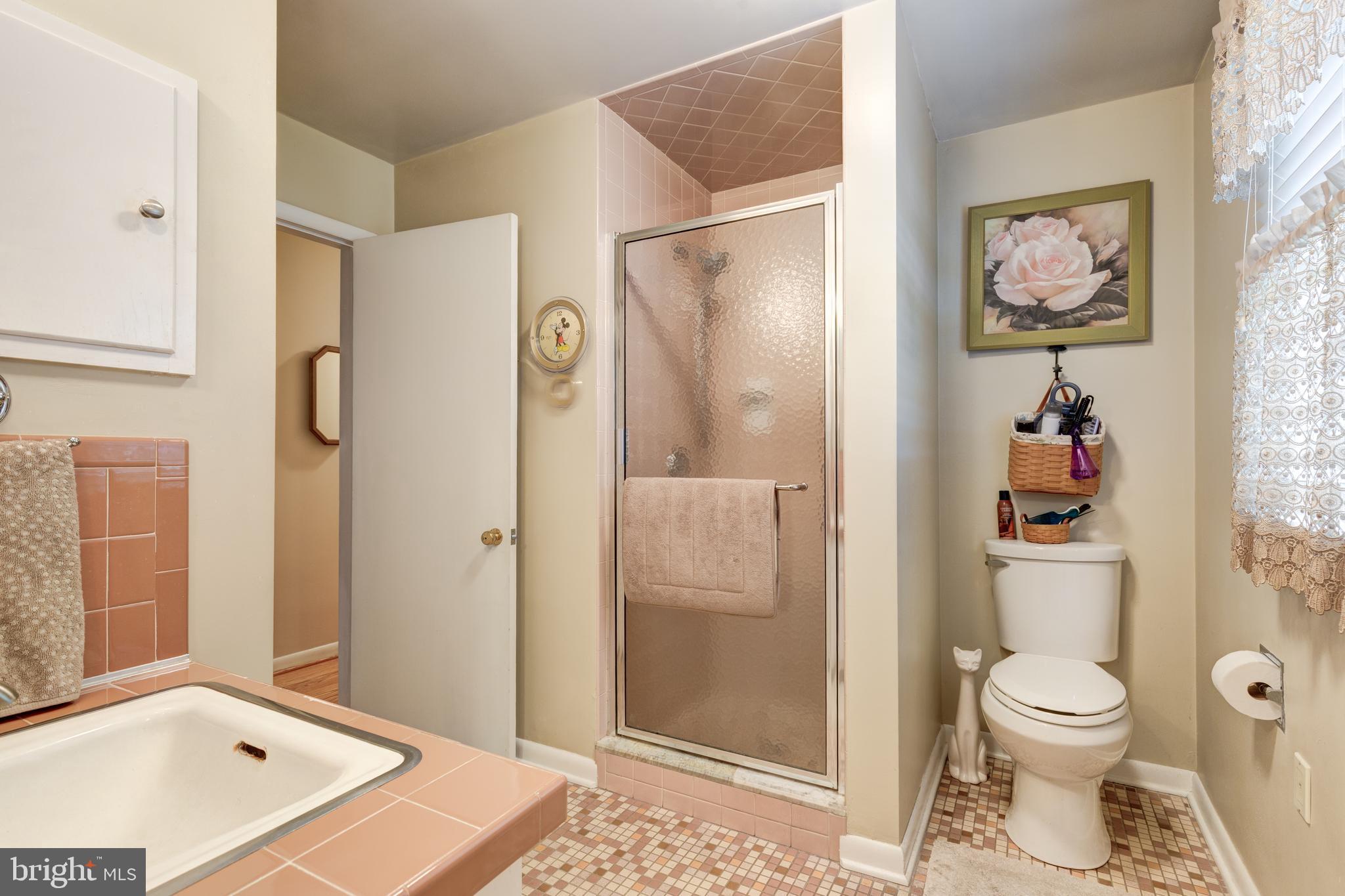 40 Greenvale Road Westminster, MD 21157 - Photo 23 of 45 Walk-in shower