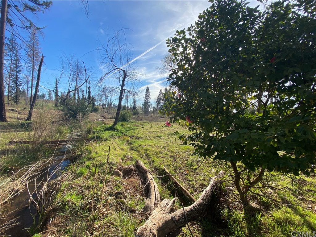 6120 Ripley Lane Paradise, CA 95969 - Photo 1 of 1 Babbling brook at rear of lot.
