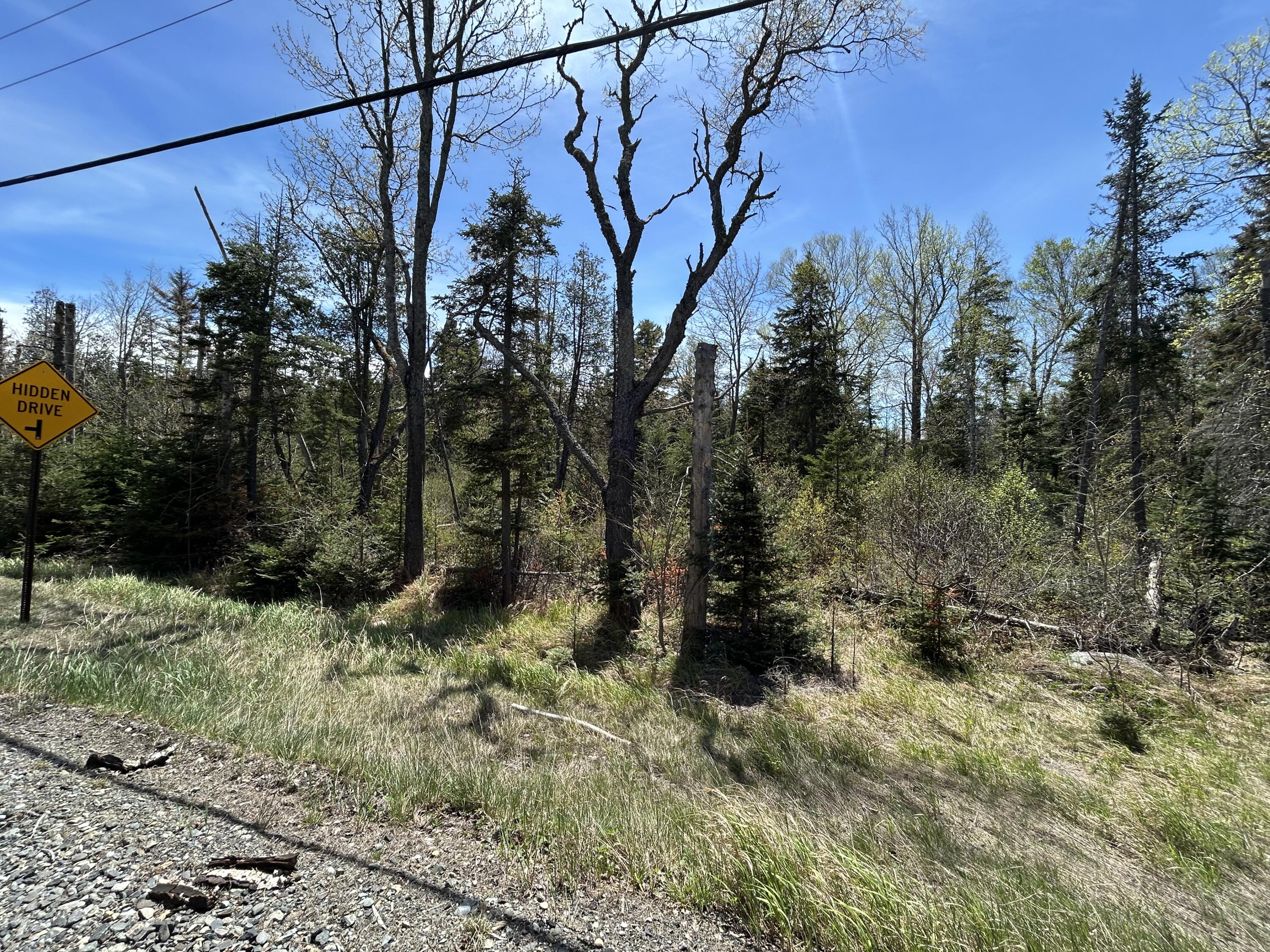 M17-l52-1 Stinchfield Road Sandy River Plt, ME 04970 - Photo 6 of 8 IMG_3425