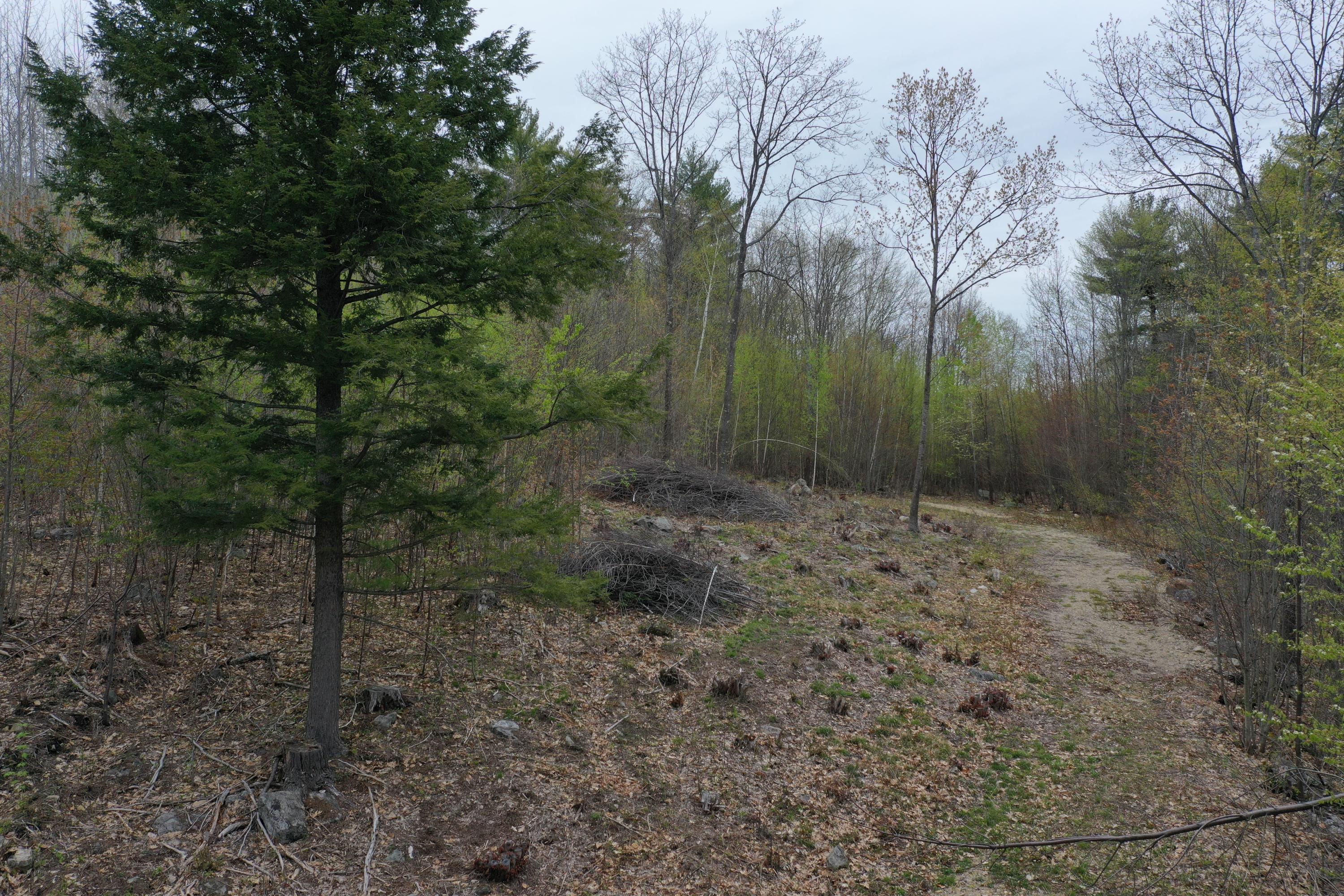 Map17-12c Map17-12c Fire Tower Road Limerick, ME 04048 - Photo 2 of 8 Ground level