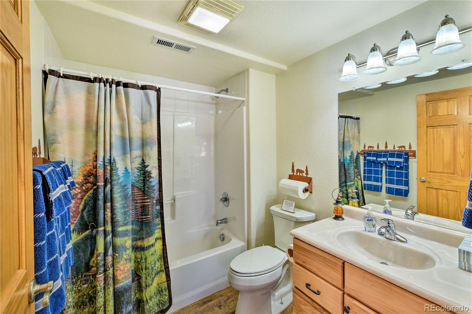 423 Wagon Wheel Road Hartsel, CO 80449 - Photo 28 of 33