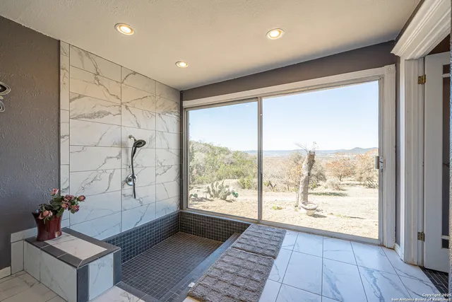 a view of a yard with a tree