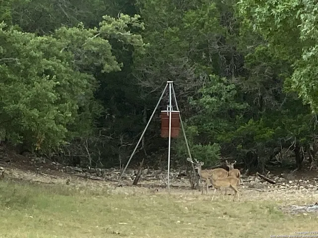 $999,900 | 1839 Thanksgiving Road, Utopia, TX 78884