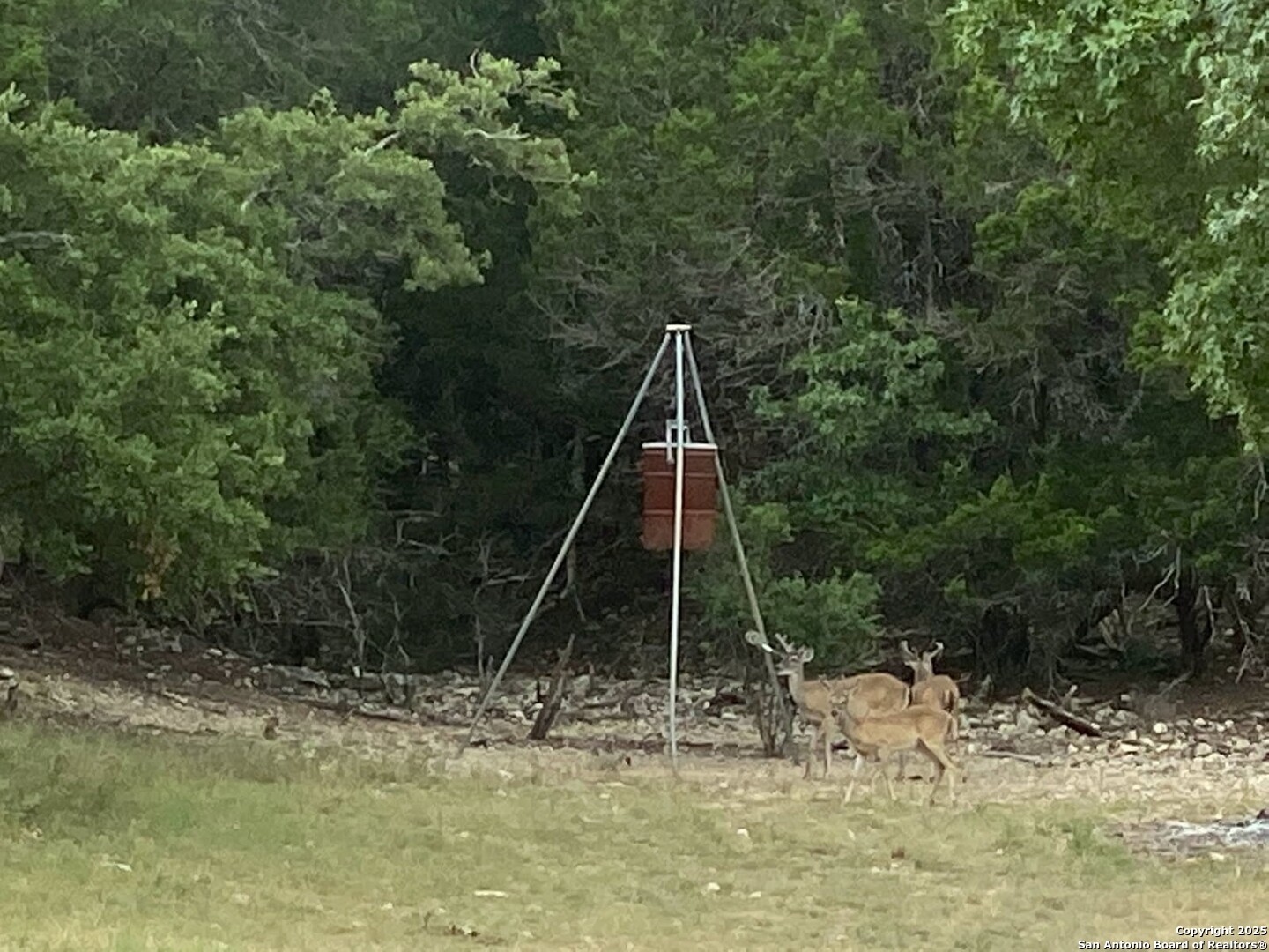 1839 Thanksgiving Road Utopia, TX 78884 - Photo 75 of 96 a view of a boat in the backyard of a house