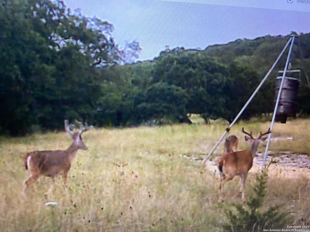 $999,900 | 1839 Thanksgiving Road, Utopia, TX 78884