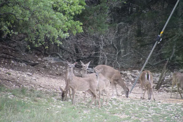 $999,900 | 1839 Thanksgiving Road, Utopia, TX 78884