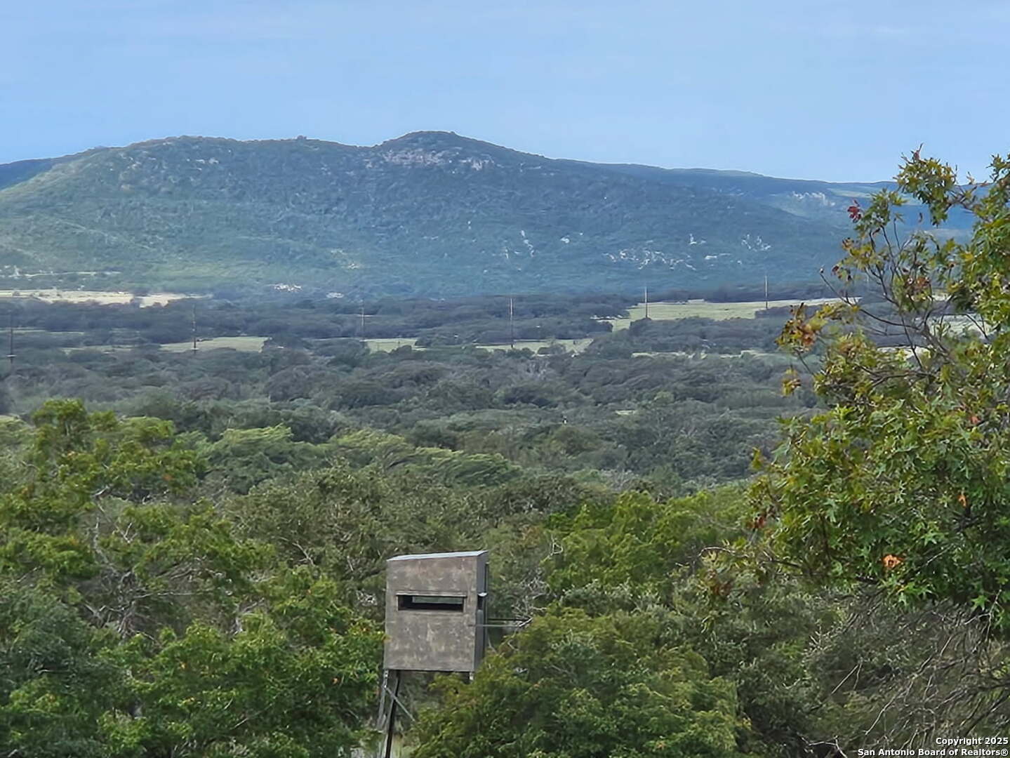 1839 Thanksgiving Road Utopia, TX 78884 - Photo 79 of 96 a view of a lush green field with mountains in the background